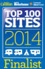 Top 100 Sites Finalist 2014